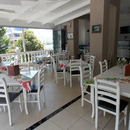 Alpha Hotel 3*